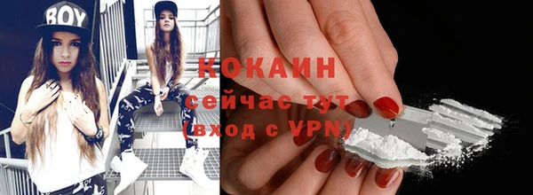 бошки Инта