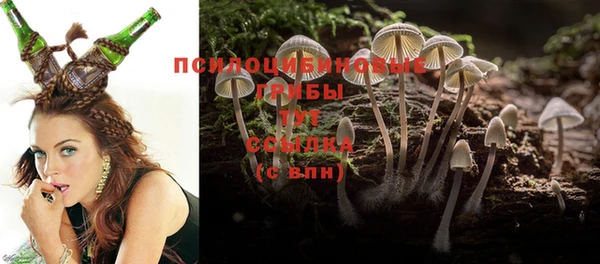 ПСИЛОЦИБИНОВЫЕ ГРИБЫ Зеленодольск