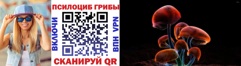 Купить закладки  Гороховец  Псилоцибиновые грибы мухоморы 